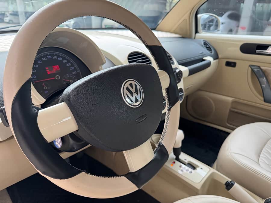 Volkswagen Beetle 2010 immagine di auto #9