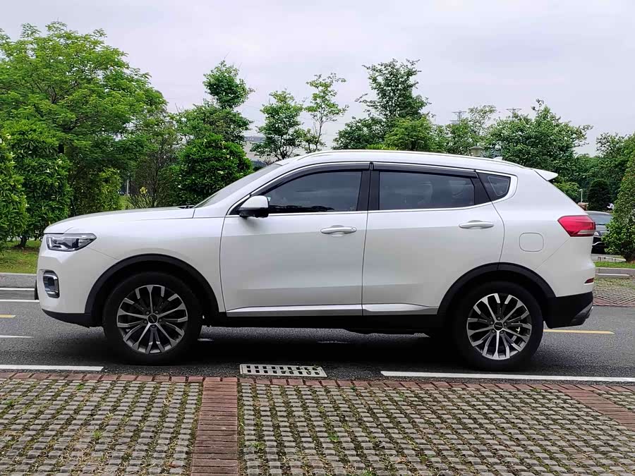 Haval H6 2019 car image #9