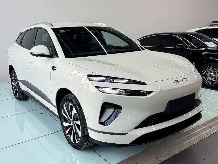 BYD Sea Lion 06 New Energy 2025 car image #9