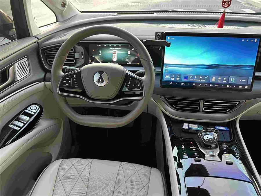 Denza D9 2023 immagine di auto #9