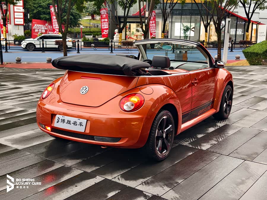 Volkswagen Beetle 2010 immagine di auto #9