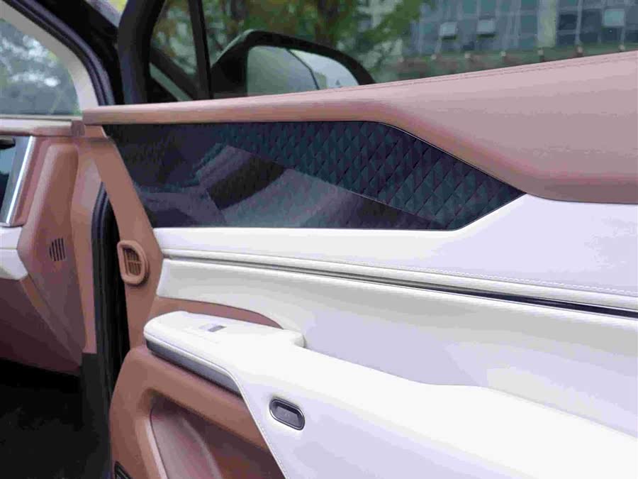 BYD Xia 2024 imagen de coche #9