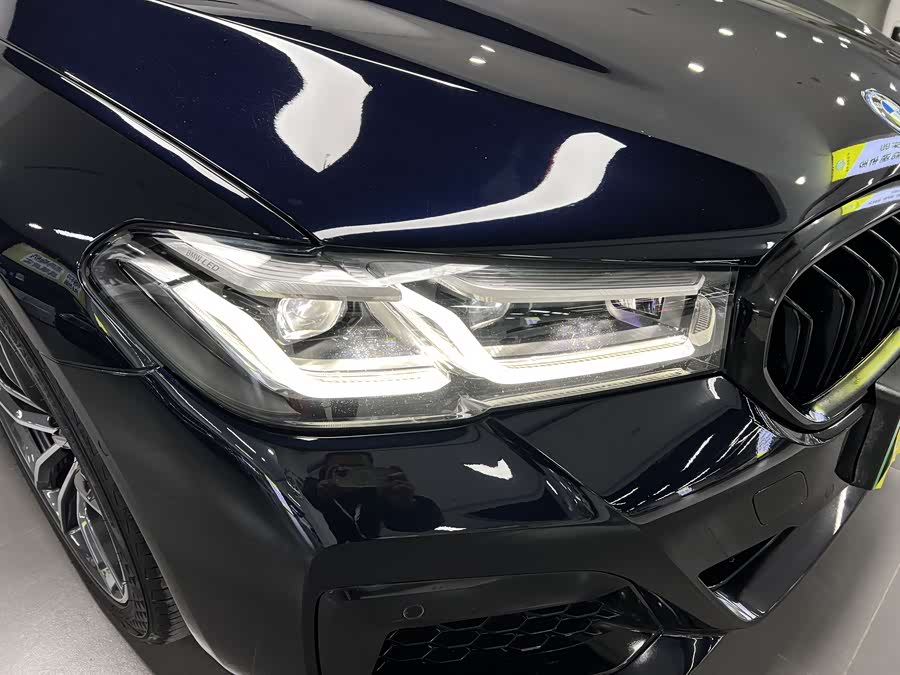 BMW 5 Series New Energy 2021 car image #9
