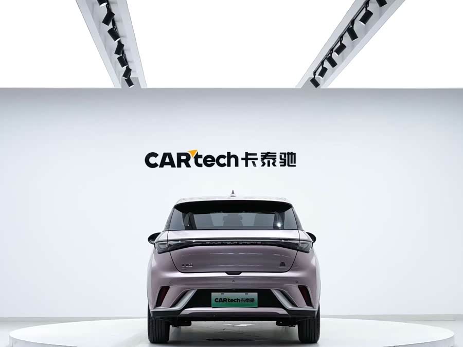 BYD Dolphin 2023 immagine di auto #9