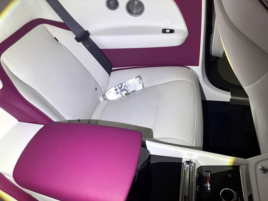 劳斯莱斯 闪灵 2025 #9 劳斯莱斯 闪灵 2025 汽车图片 #9