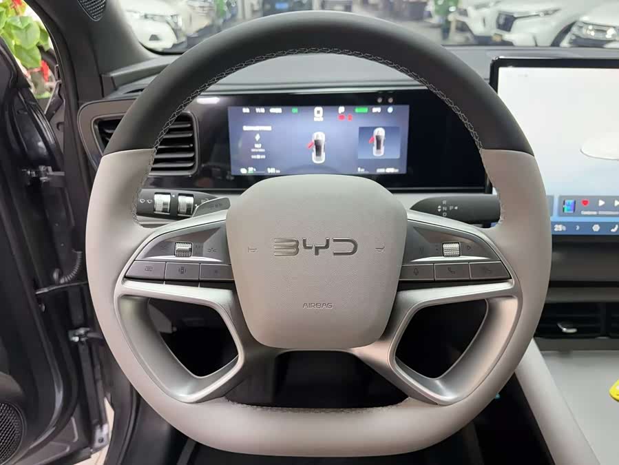 BYD Sea Lion 06 New Energy 2025 car image #9