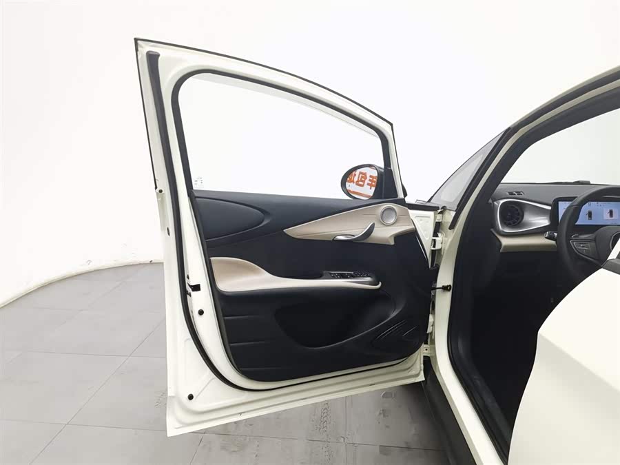 BYD Dolphin 2025 car image #9