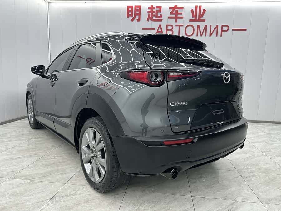 Mazda CX-30 2021 car image #9