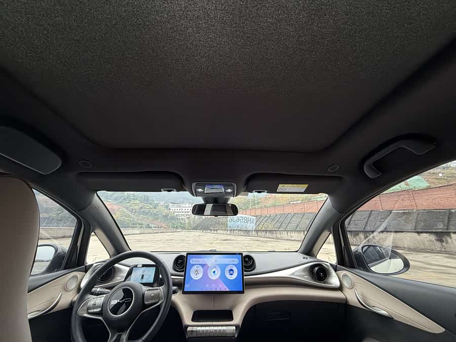 BYD Dolphin 2023 immagine di auto #9