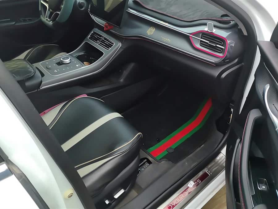 BYD Destroyer 05 2023 immagine di auto #9
