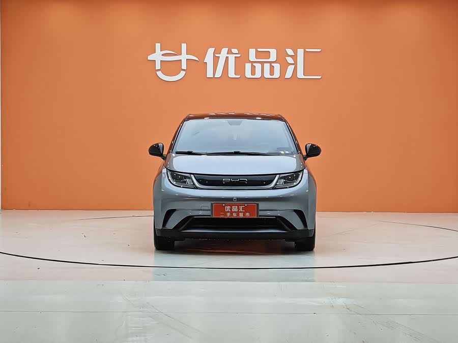 BYD Dolphin 2022 car image #9