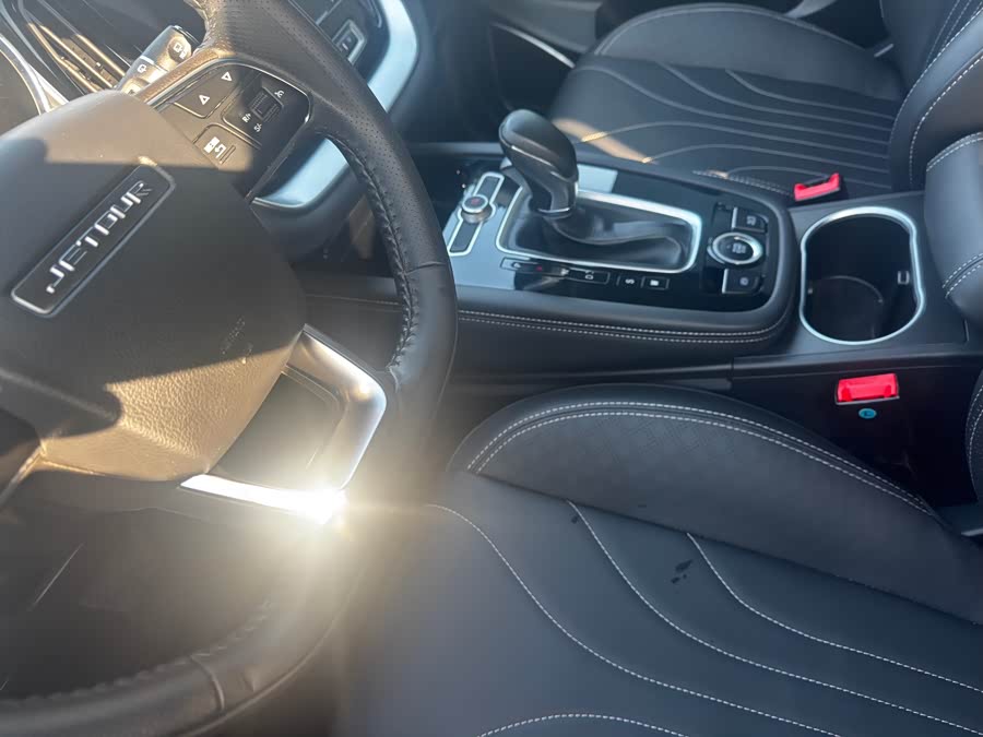 X70M 2019 car image #9