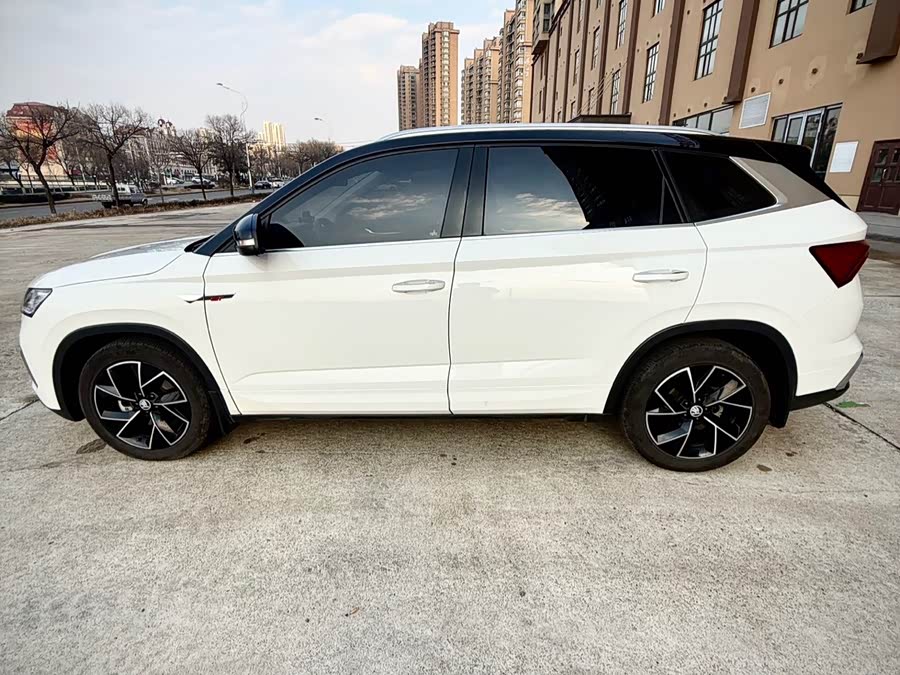 Skoda Kamiq 2022 imagem de carro #9