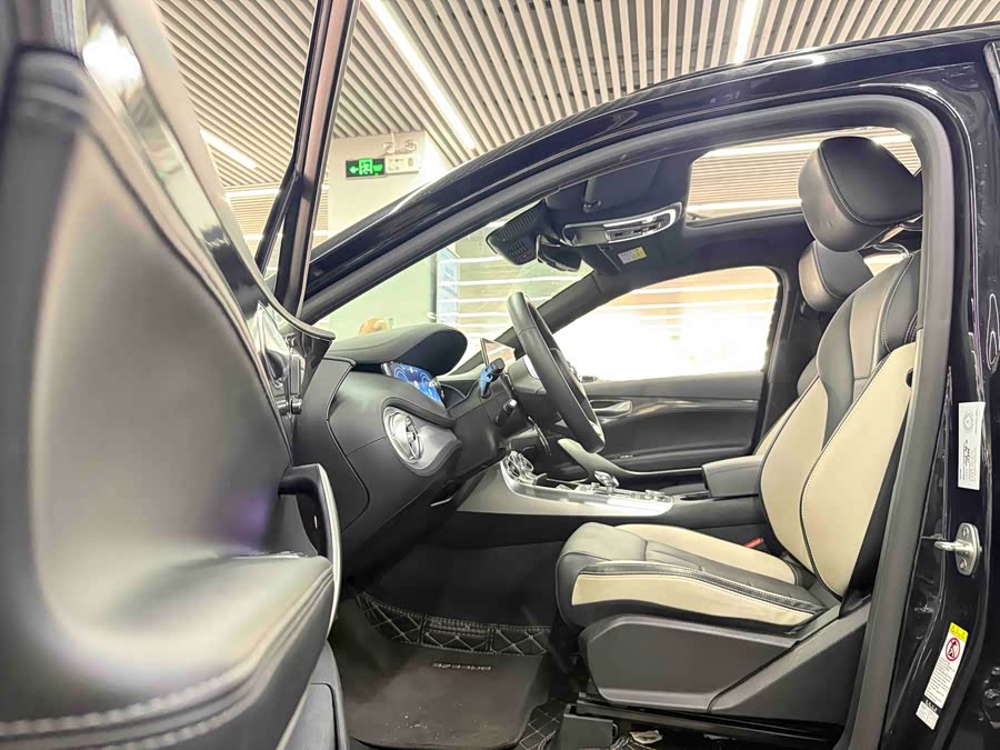 Denza X 2020 car image #9