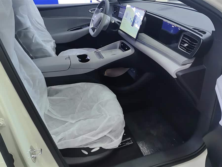 BYD Sea Lion 06 New Energy 2025 car image #9