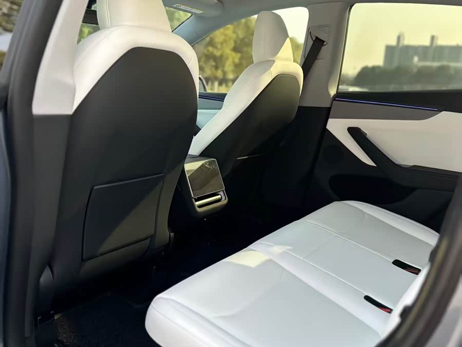 Tesla Model Y 2025 #9 Tesla Model Y 2025 car image #9