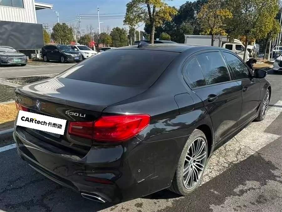 BMW 5 Series 2018 car image #9