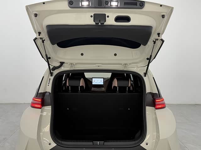 BYD Seagull 2025 #9 BYD Seagull 2025 صورة سيارة #9