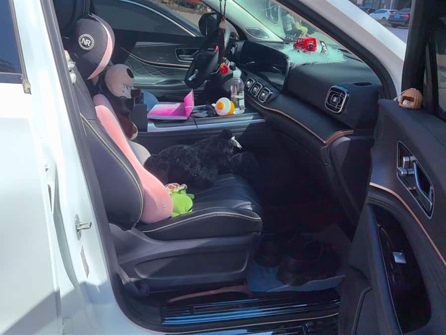 Chery Tiggo 9 2024 car image #9