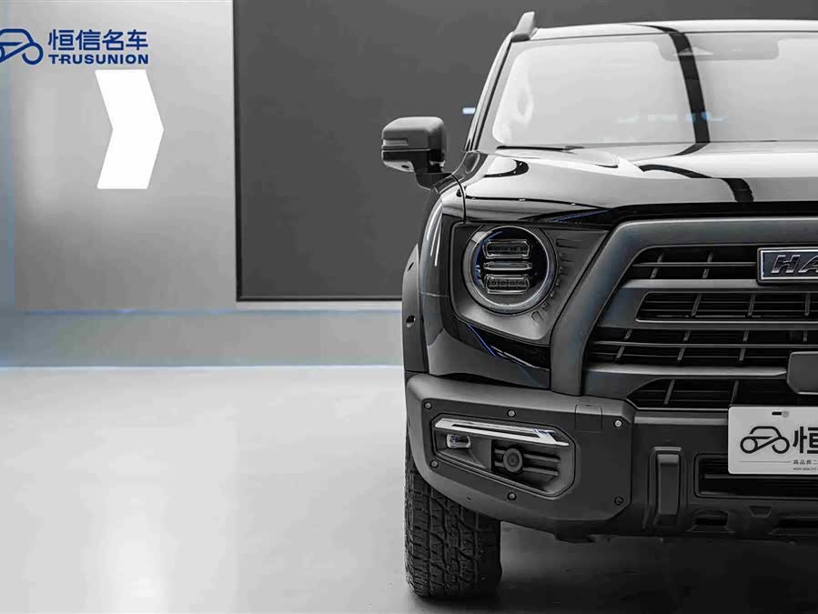 Haval X Dog / Dargo 2023 immagine di auto #9