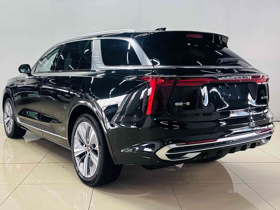 HongQi E-HS9 2023 image de voiture #9