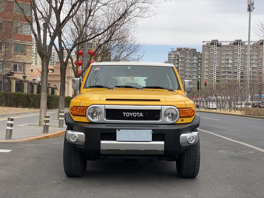 Toyota FJ Cruiser 2019 car image #9