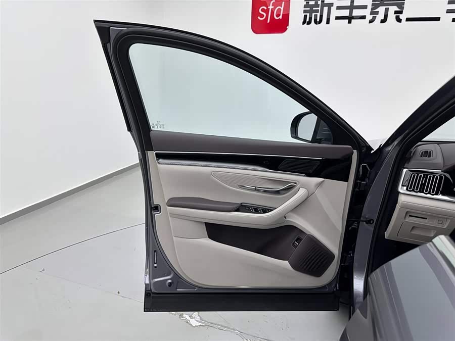 BYD Song Plus New Energy 2025 car image #9