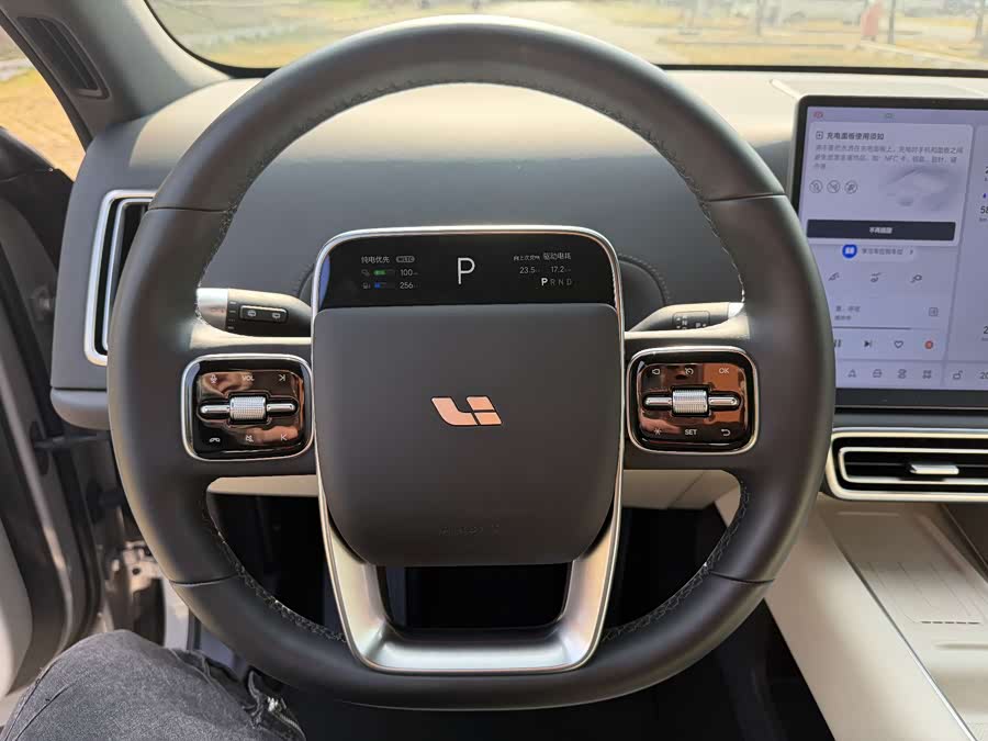 Li L6 2024 صورة سيارة #9