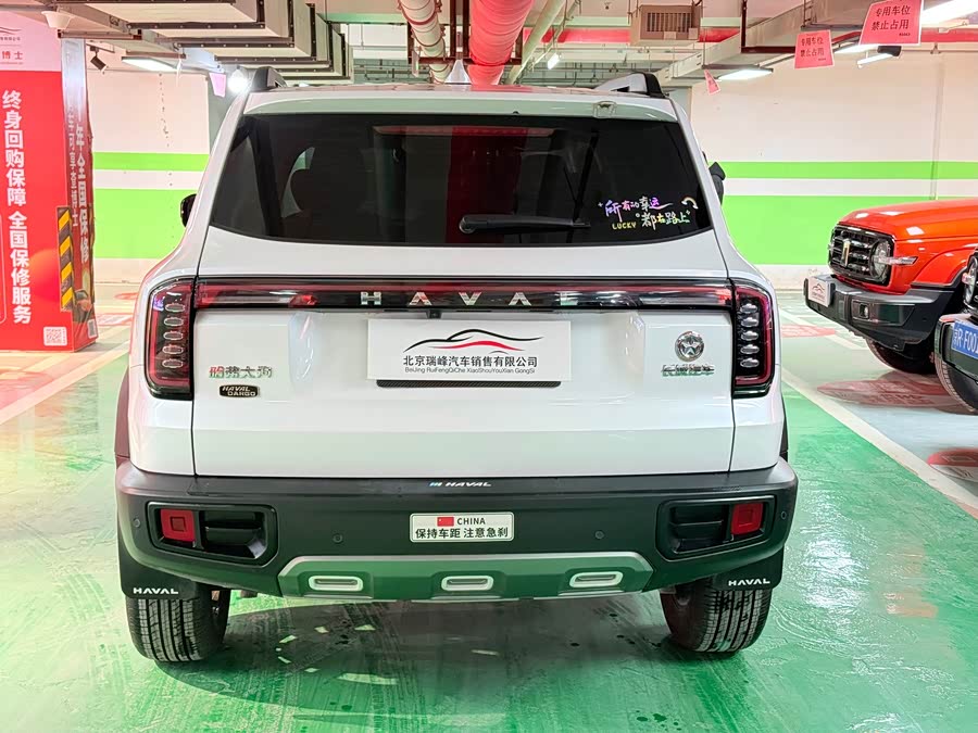 Haval X Dog / Dargo 2024 immagine di auto #9