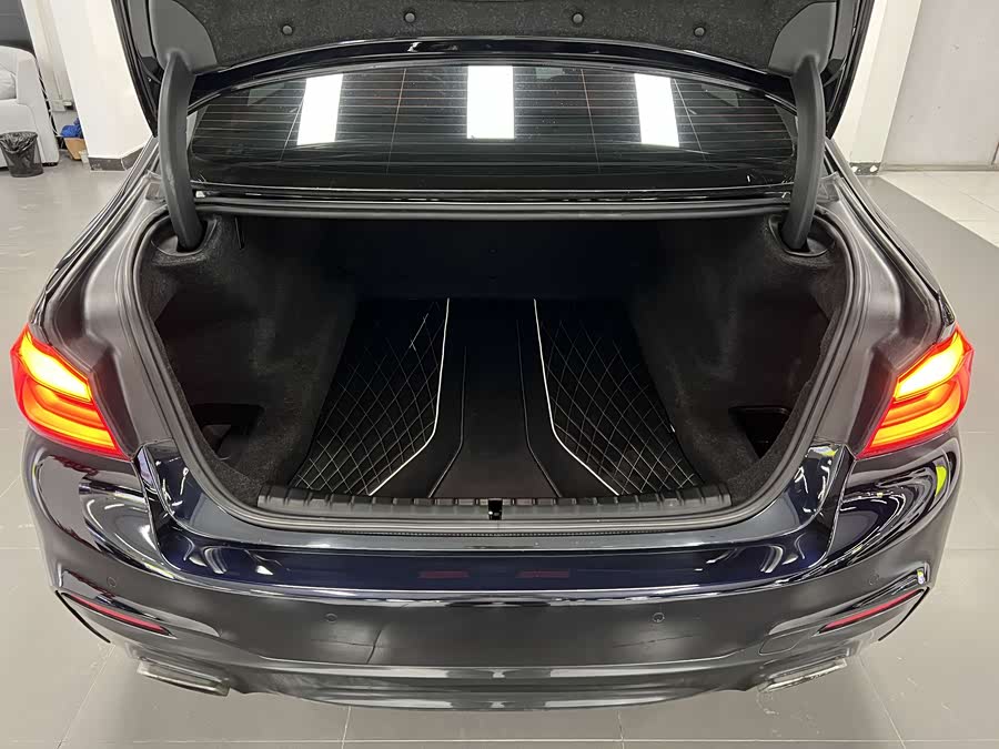 BMW 5 Series 2020 car image #9