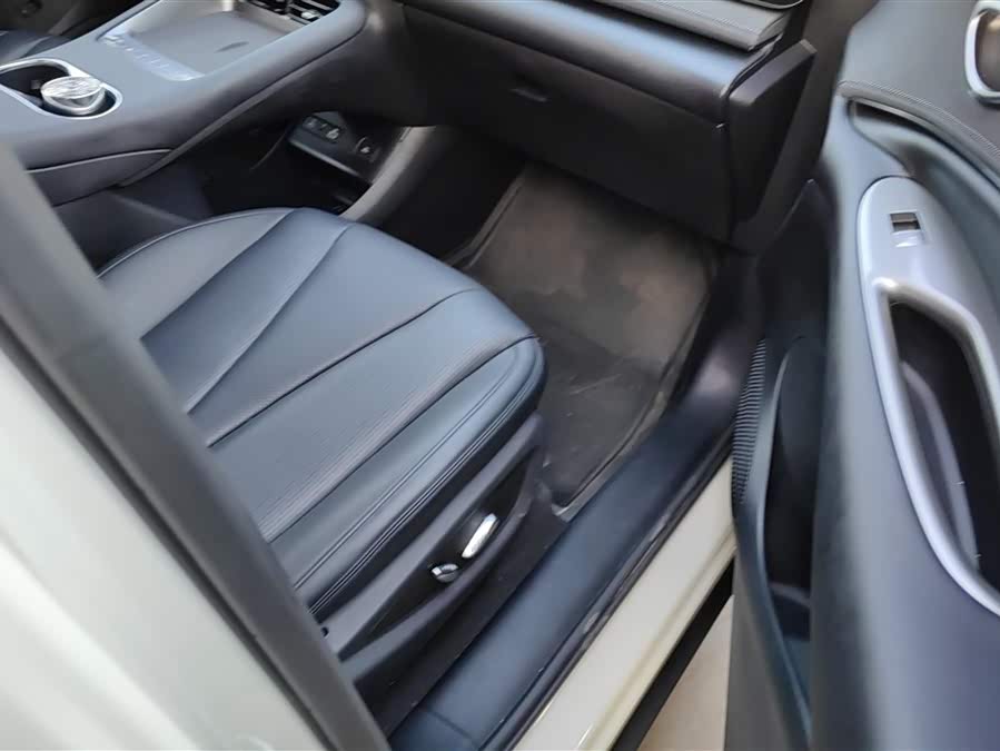 BYD Sea Lion 06 New Energy 2025 car image #9