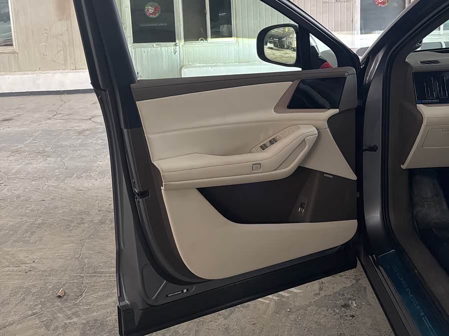 Denza #9 Denza car image #9