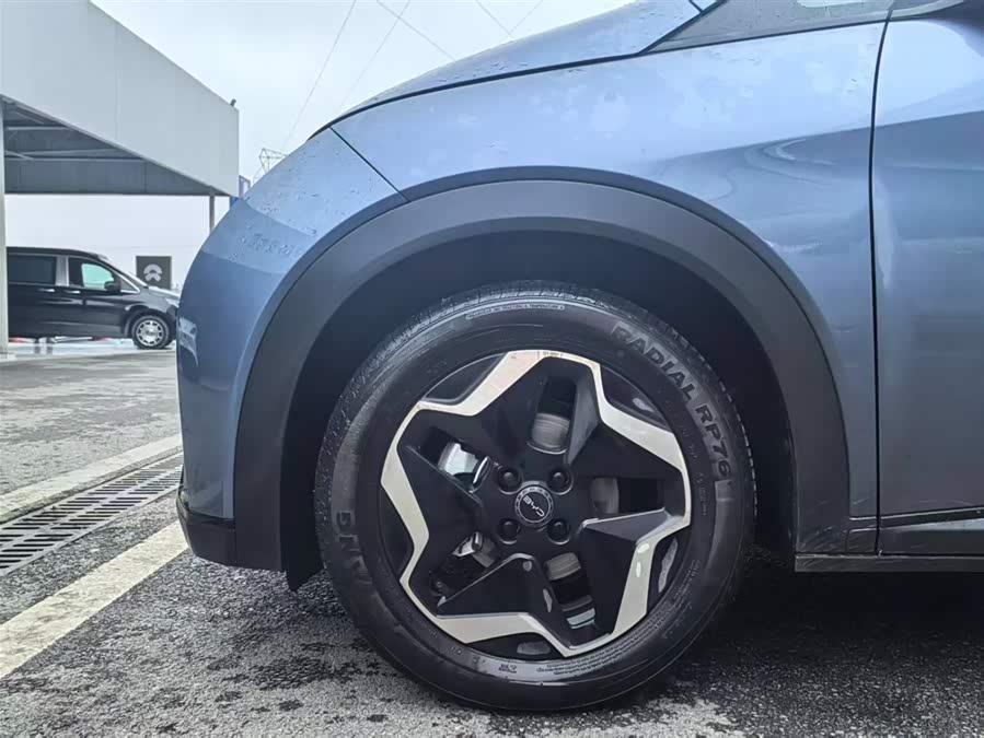 BYD Dolphin 2024 car image #9