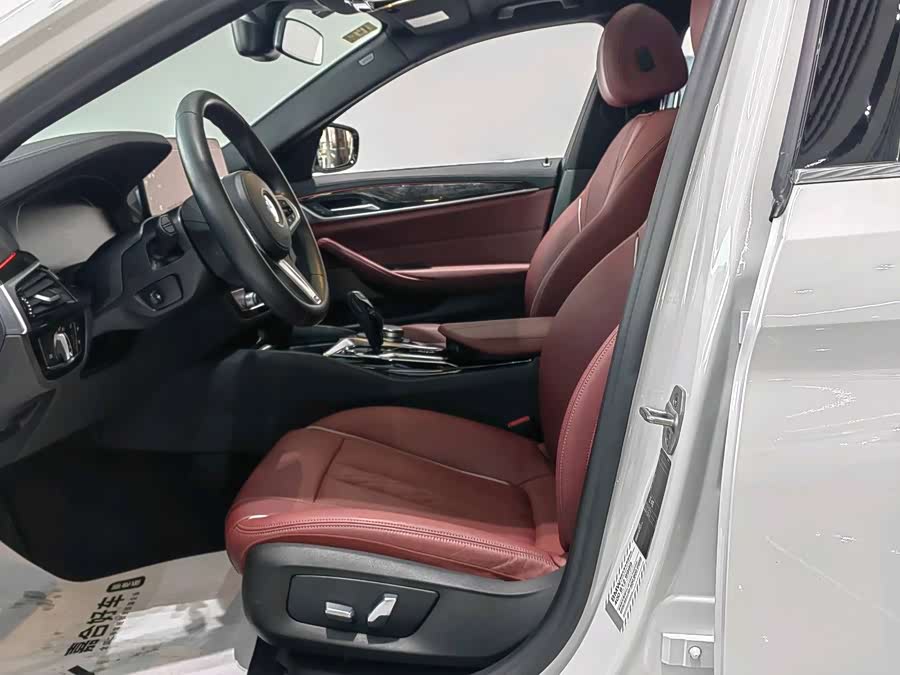 BMW 5 Series 2021 car image #9