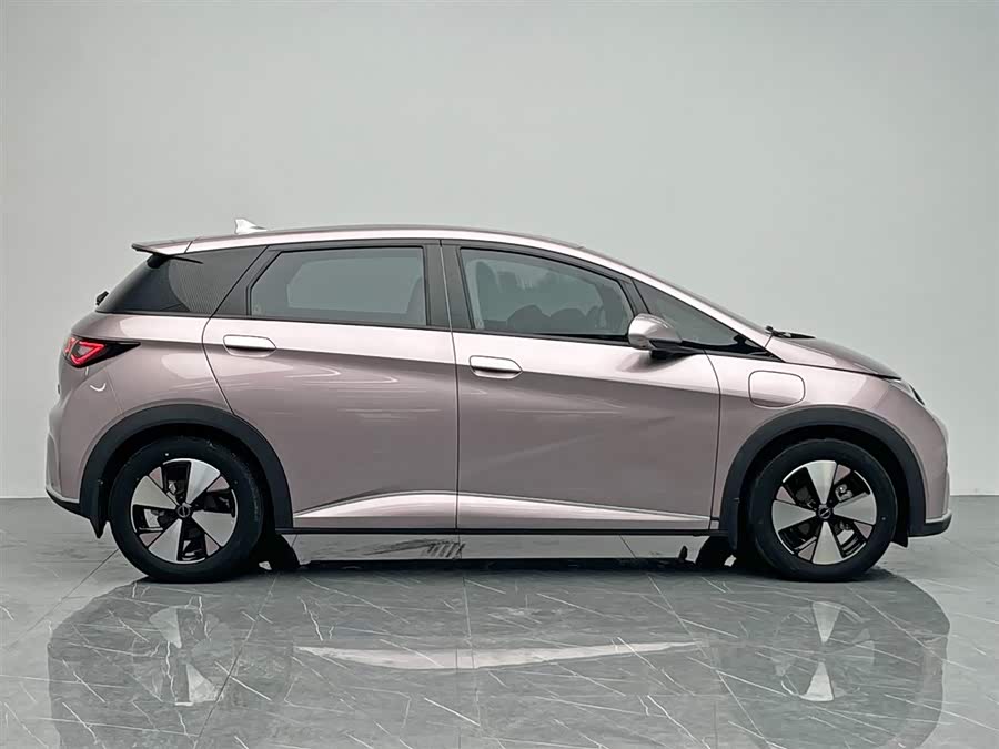 BYD Dolphin 2023 immagine di auto #9