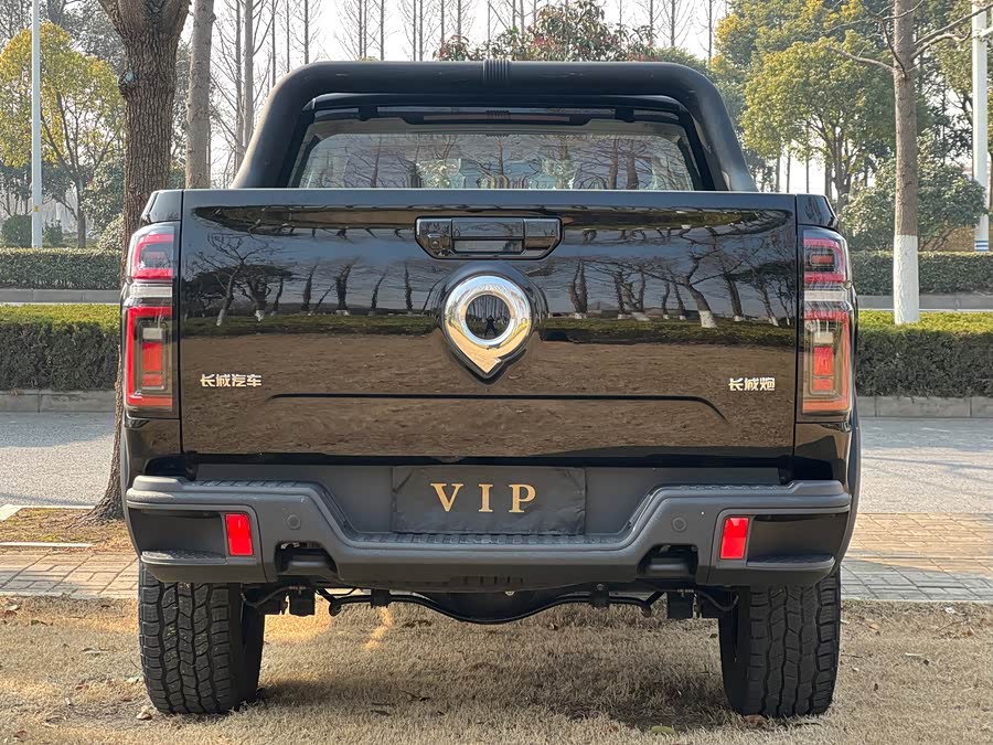 Great Wall Poer 2023 car image #9