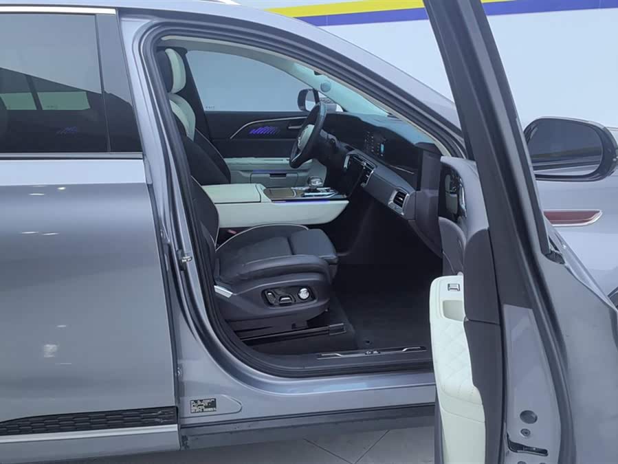 HongQi E-HS9 2023 image de voiture #9