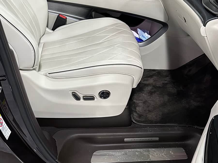 Denza D9 2024 imagen de coche #9