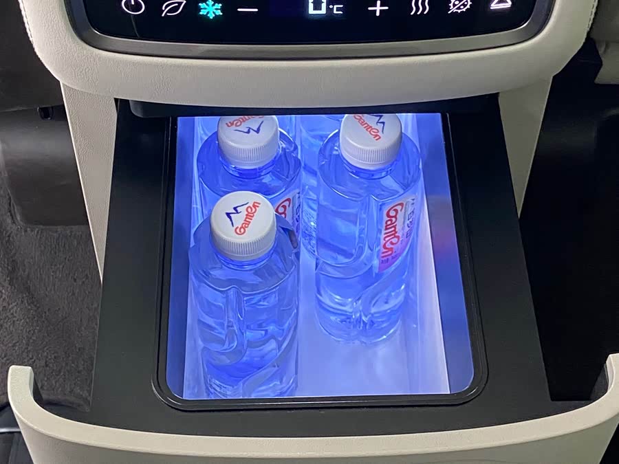 Denza D9 2024 car image #9