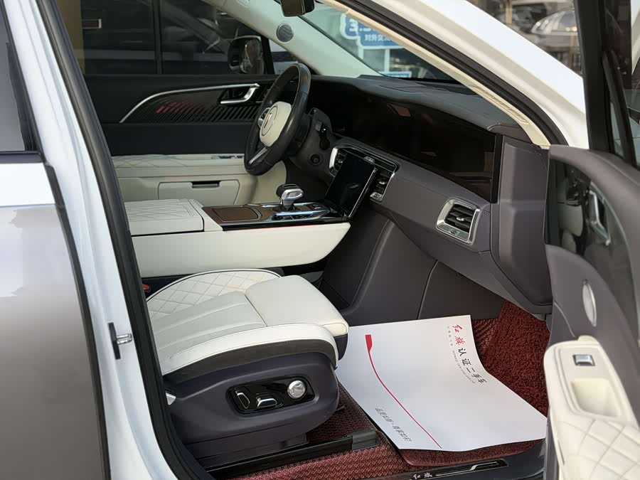 HongQi E-HS9 2022 imagen de coche #9