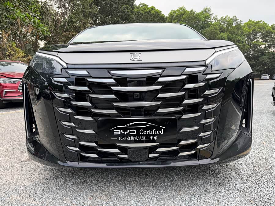 BYD Xia 2025 imagen de coche #9