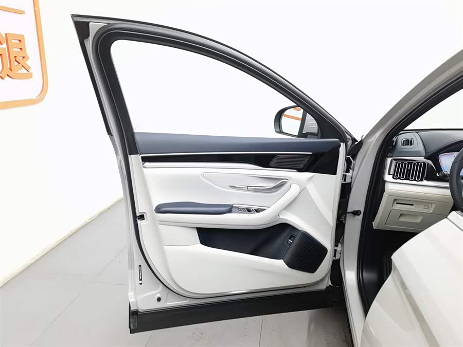 BYD Song Plus New Energy 2023 car image #9