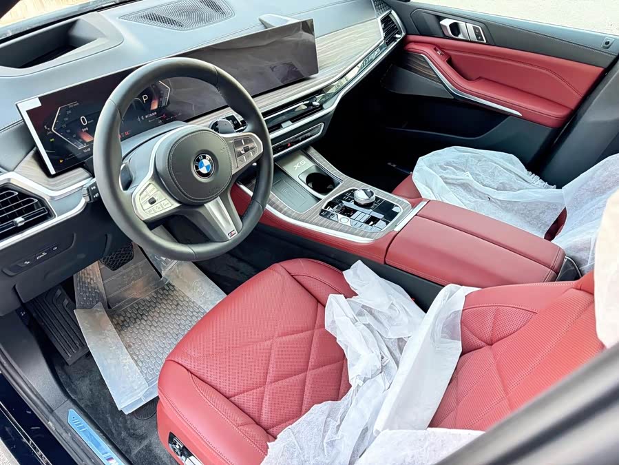 BMW X5 imagen de coche #9