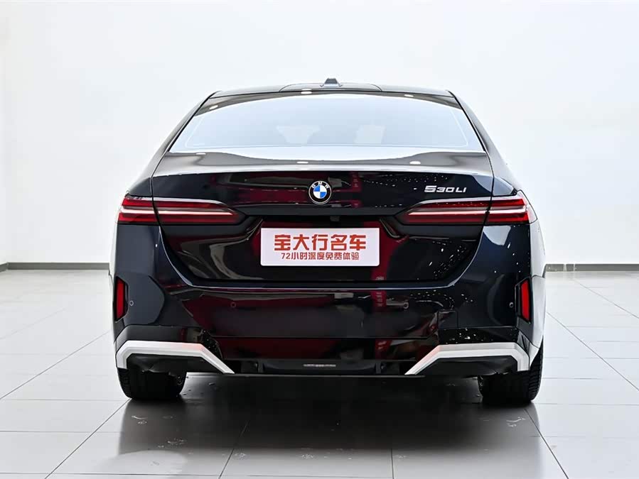 BMW 5 Series 2024 car image #9