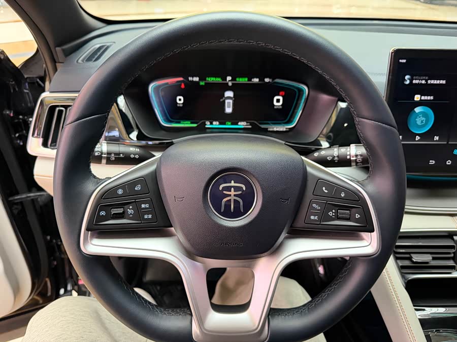 BYD Song Plus New Energy 2023 car image #9