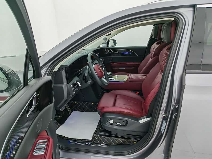 HongQi E-HS9 2023 car image #9