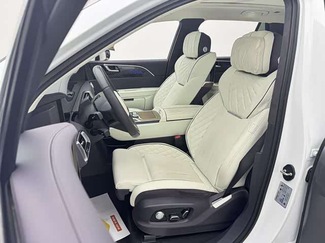 HongQi E-HS9 2023 image de voiture #9