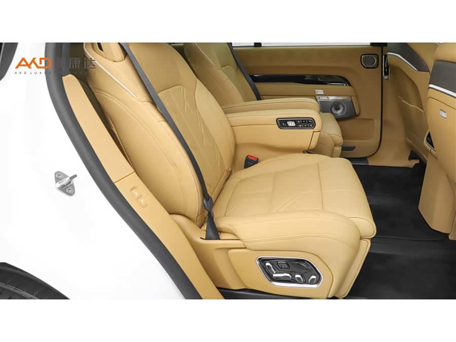 极氪 极氪9X 2026 汽车图片 #9