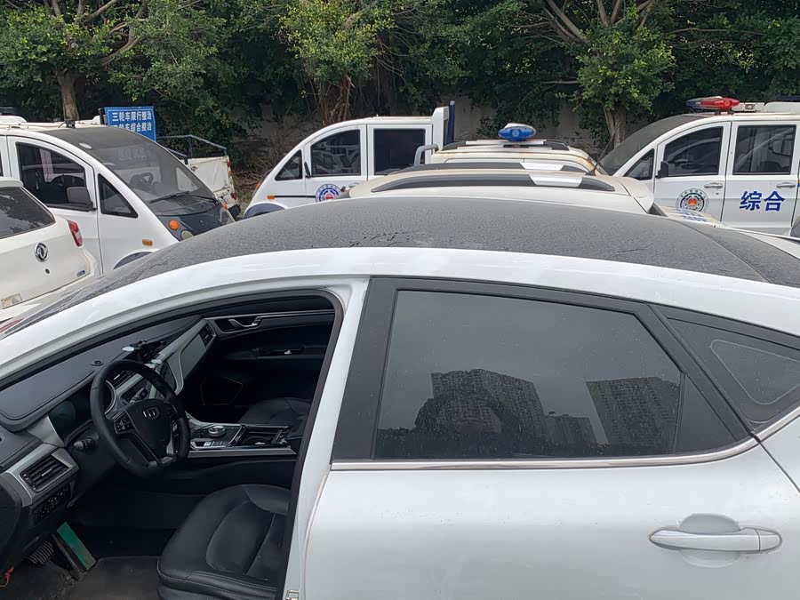 GEELY Emgrand GSe 2019 car image #9