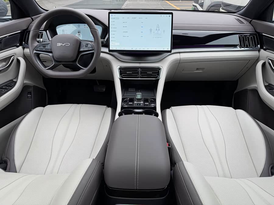 BYD Song Plus New Energy 2025 car image #9